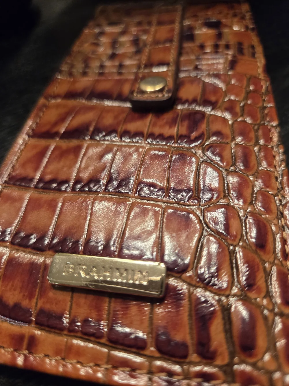 Brahmin textured croc